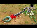 Anaconda Attack Vs Inosent Baby