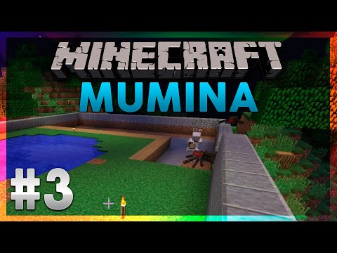 Minecraft: Mumina - 3 - Suurtalon alku! w/Sleikkari