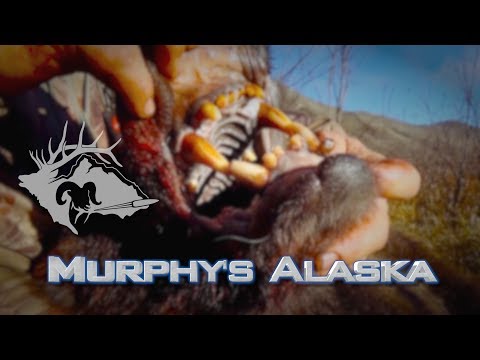 Best of the West S 9 E 4 - Murphy's Alaska