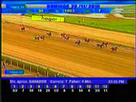 Resumen Domingo, 28 de Noviembre de 2010 - La Rinconada