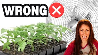 You’re Using a Fan on Seedlings WRONG (Here’s Why)