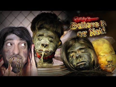 Shrunken Heads & Nazis?! - Ripley's Believe It Or Not!