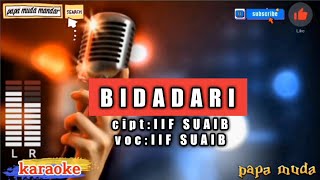 Download lagu Bidadari karaoke iif suaip,karaoke bidadari,karaoke mandar,papa muda mandar lagumandar mp3