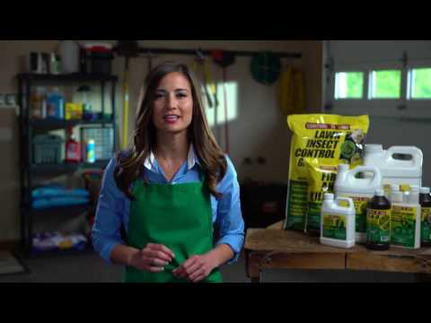 Compare N Save Lawn Indoor/Outdoor Concentrated Insecticide