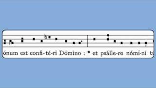 In Medio Ecclesiae (Common of Doctors, Introit)