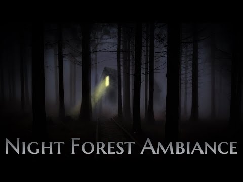 Soothing Night Forest Ambiance | Relaxing Sounds of Crickets & Owl | Full Stereo