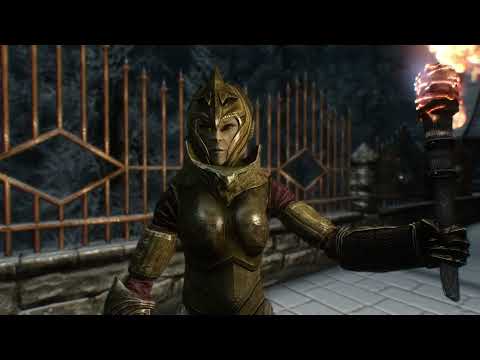 Altmer woman and Nord Swords