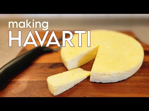 Cheesemaking 101: Make Your Own Fresh Havarti at Home