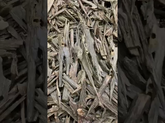 عود هندي زورا دبل سوبر