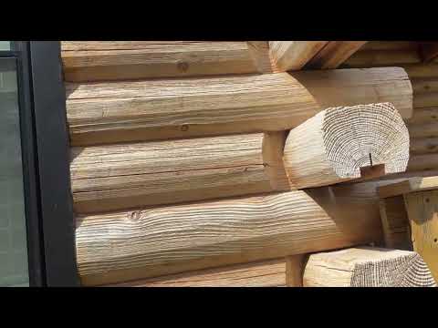 Carpenter Bees Attack Wooden Home in Manasquan, NJ