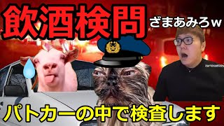 【猫ミーム】飲酒検問に捕まった占い師！！