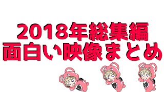 2018年総集編まとめ(テンション高め面白映像)