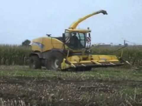 Vergauwe Fr.: mais hakselen.