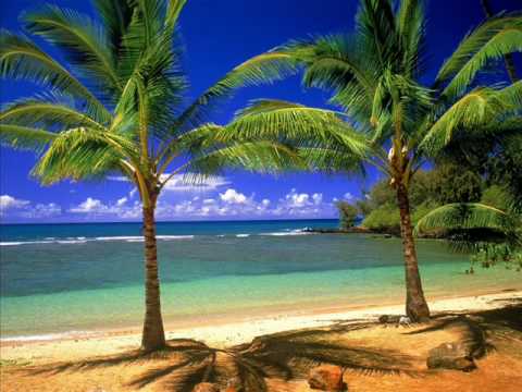 Bojana Vasev & T-Blazer - Ovo leto (Single 2010)