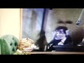 Classic Sesame Street Leslie Mostly The Count