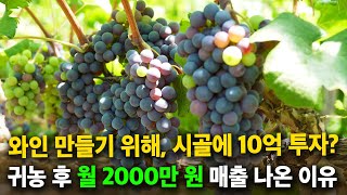 와인 위해, 시골에 10억 투자..?! 연매출 3억 이상 달성할 수 있었던 이유 [귀농귀촌, 귀농, 농사]