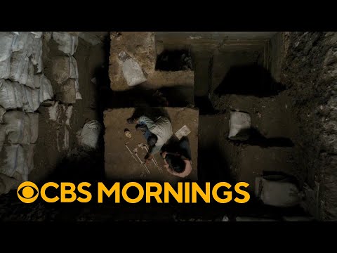 PBS series "Human" explores the journey of how we became who we are