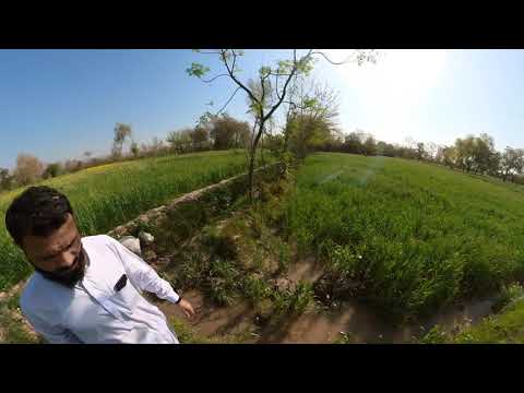 bannu,bannugull,bannu view, nature