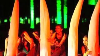 Foro del Lago 2016. Hakuna matata. Can you feel The love tonight.