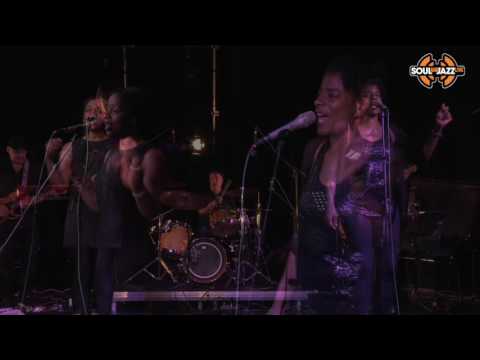 Tropica: 'Solita Cruise'