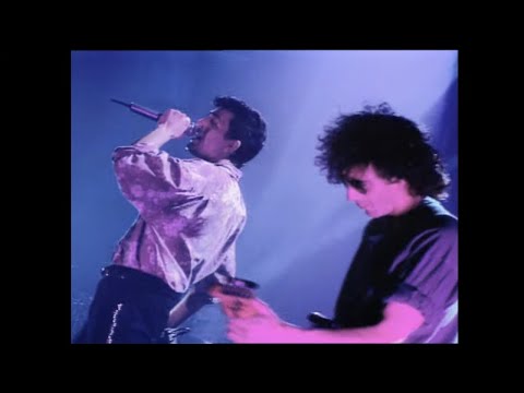 Paliz Y Tinia - El Ultimo De La Fila