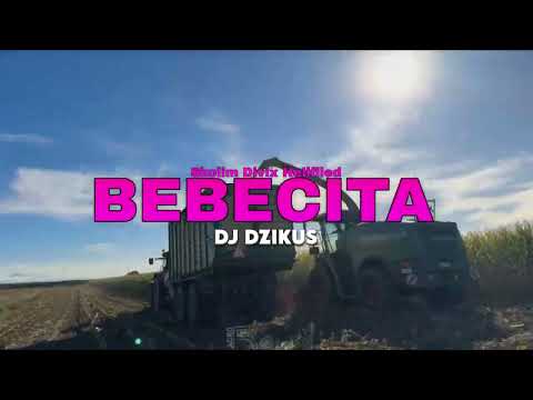 Skolim, Divix, Hellfiled - BEBECITA   ( DJ DZIKUS)