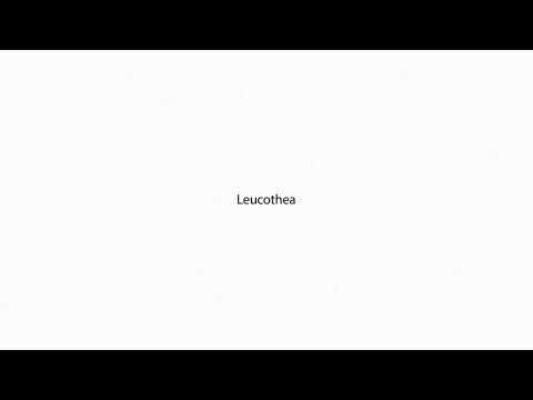 Leucothea PRONUNCIATION
