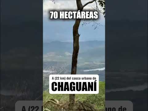 🍃VENDO ESTÁ FINCA🍃Información al WhatsApp: (+57) 310 355 8414🍃