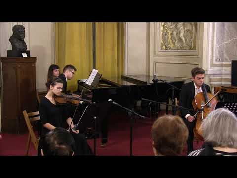 Concertul Masteranzilor - Trio: Pernes Irina - Matei Tudor Costin - Saliu Dragos Daniel
