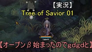 【実況】Tree of Savior 01 【オープンβ始まったのでｇｄｇｄと】