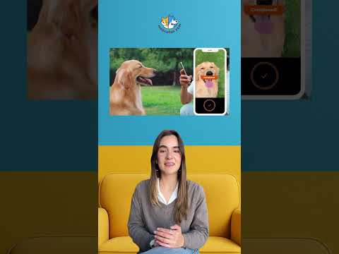 Your dog's nose is like his fingerprint 🐕👃