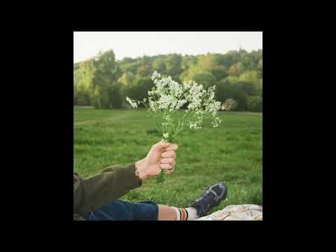 It'll Be Fine - Yorke & Di-vincent