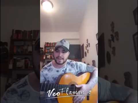 Antonio Martin canta en directo desde Veo Flamenco (Facebook Live)  | VEOFLAMENCO