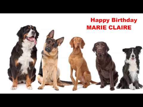 MarieClaire   Dogs Perros - Happy Birthday