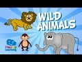 Aprende Inglés Los Animales Salvajes En Inglés Videos Educativos Para Niños