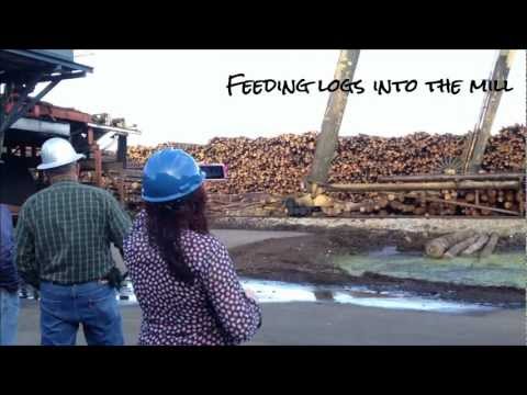 Saw Mill Tour in 5 minutes