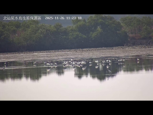 Beishanwei Waterfowl Ecological Protected Area