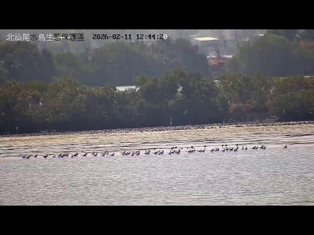 北汕尾水鳥生態保護區