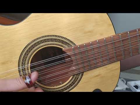 TOQUE DE VIOLA CAIPIRA - GOIANO E PARANAENSE / TIÃO CARREIRO | O Violeiro e Pirangueiro