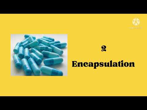 Encapsulation In Java Oop Java Code Object Oriented Programming Online Learning