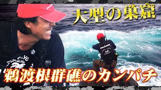 アジ・ブリ・カンパチ