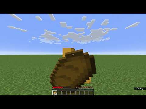 Food Guide for Hypermodern (Minecraft speedrunning guide)