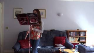 'Make You Feel My Love' by Adele on flute