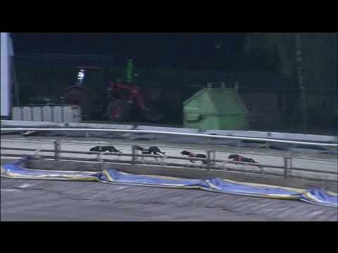 2019 TRAINERS CHAMPIONSHIP - STAYERS B - T4 ANTIGUA FIRE