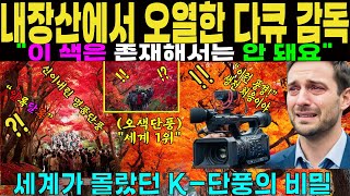 세계 다큐 거장, 내장산 가을 단풍에 무릎 꿇다. [해외감동사연][국뽕]
