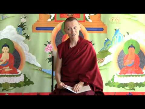 08-30-11 Monastic Mind for Karuna the Kitty - BBCorner