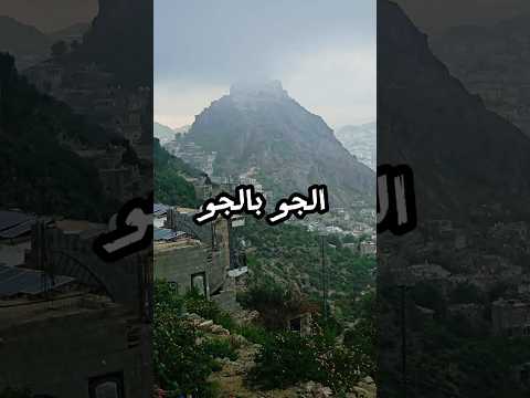 نائف الوافي