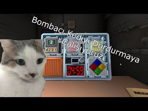 Bombacı Kediyi Durdurmaya Çalışıyoruz