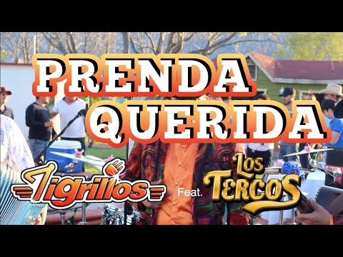 PRENDA QUERIDA TIGRILLOS FT LOSTERCOS