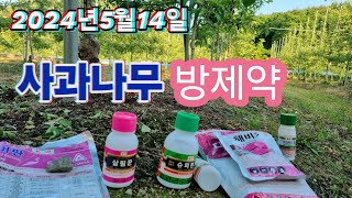 2024년5월14일 사과나무 방제약